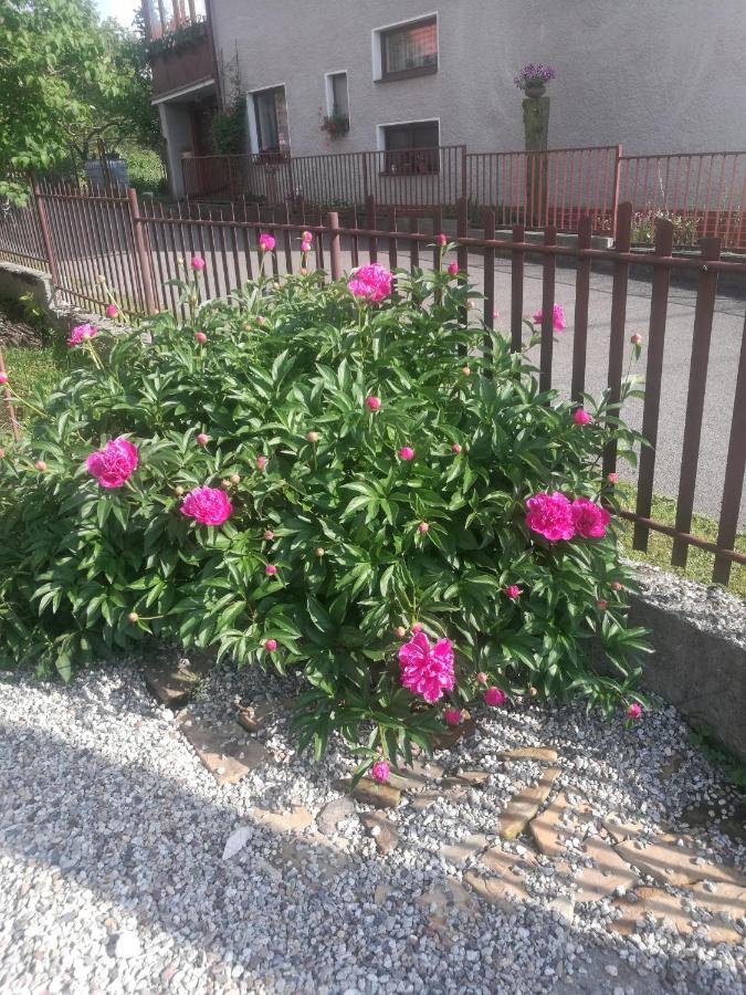 Drevenica Zapadne Tatry S Kupacou Kadou A Krbom Lägenhet Žiar Exteriör bild