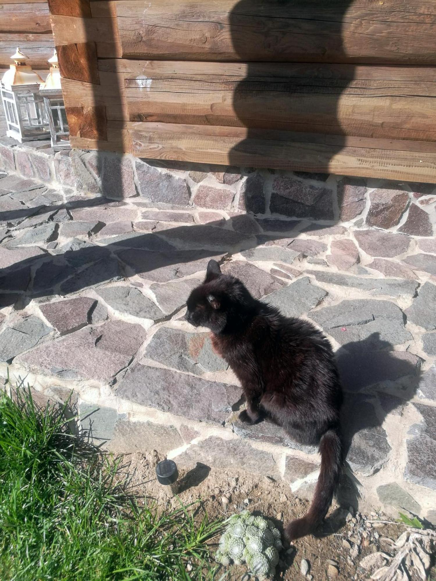 Drevenica Zapadne Tatry S Kupacou Kadou A Krbom Lägenhet Žiar Exteriör bild
